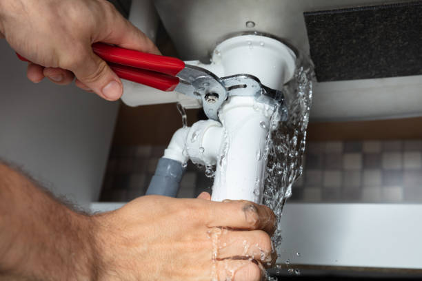 Best Local water damage restoration  in Waialua, HI