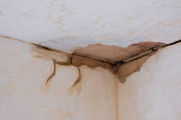 Best Fire Damage Restoration  in Waialua, HI