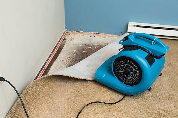 Best Basement water damage restoration  in Waialua, HI